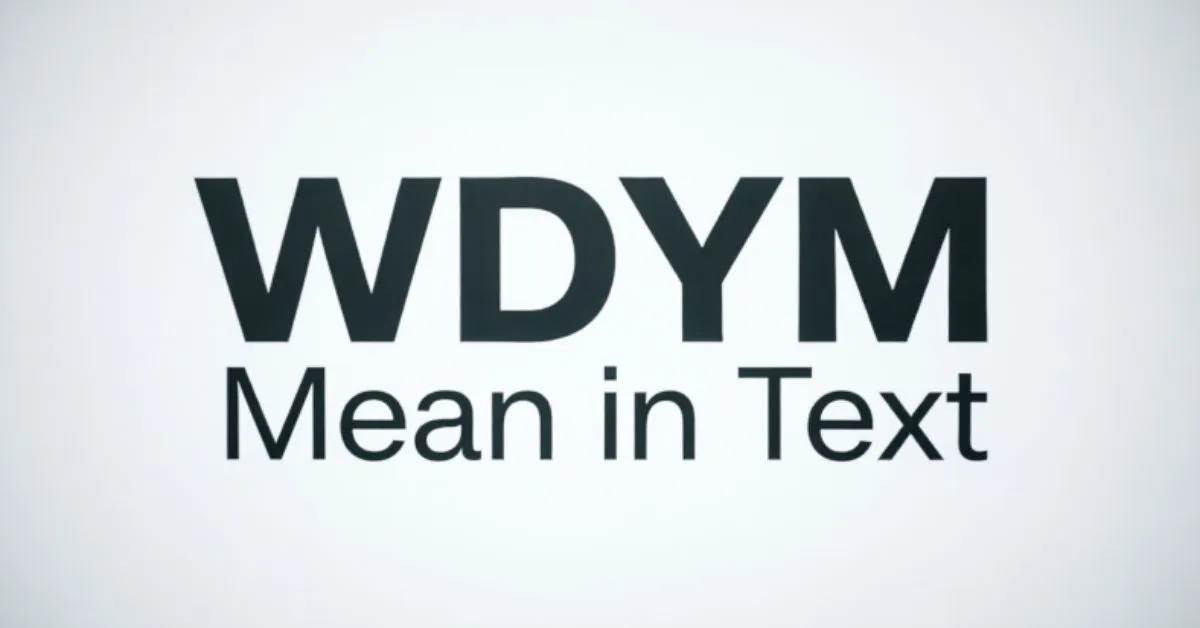 WDYM Mean in Text