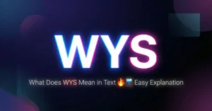 WYS Mean in Text