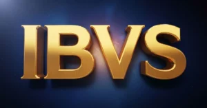 IBVS Meaning in Text