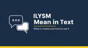 ILYSM Mean in Text