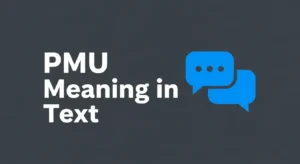PMU Meaning in Text