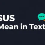 SUS Mean in Text