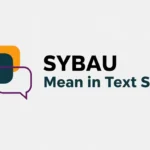 SYBAU Mean in Text Slang