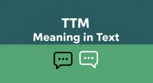 TTM Meaning in Text