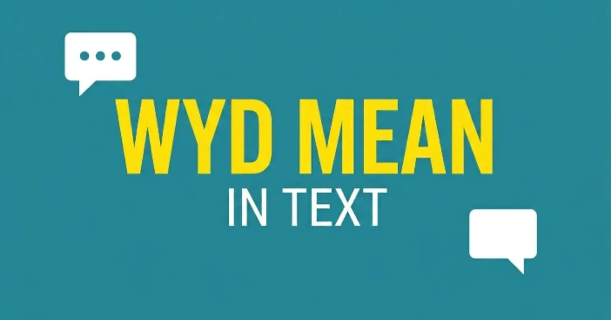 WYD Mean in Text