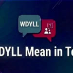 WDYLL Mean in Text