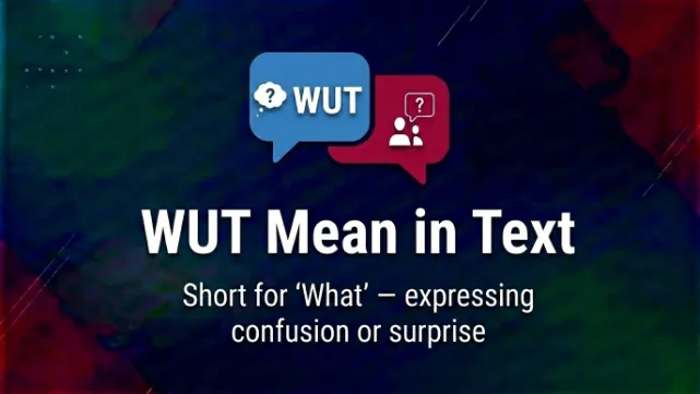WUT Mean in Text