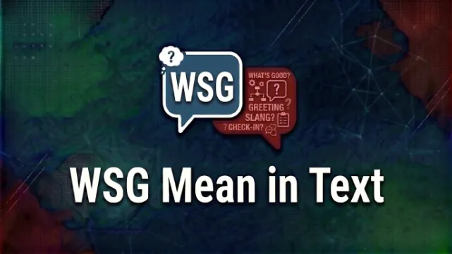 What WSG Mean in Text
